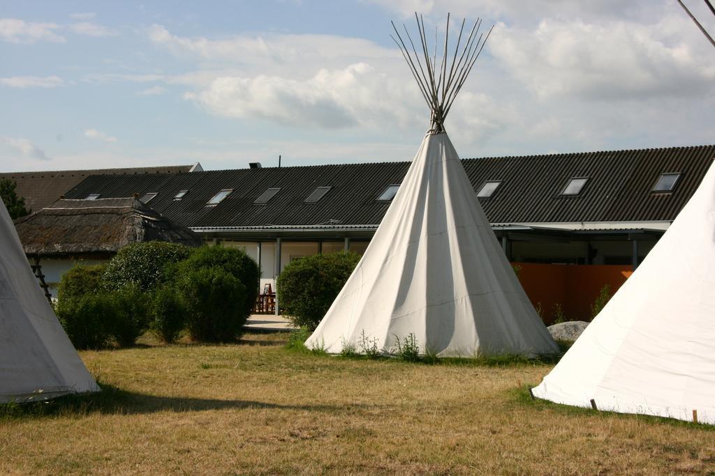 Storchencamp Gaestehaus Purbach Purbach am Neusiedlersee Exteriör bild