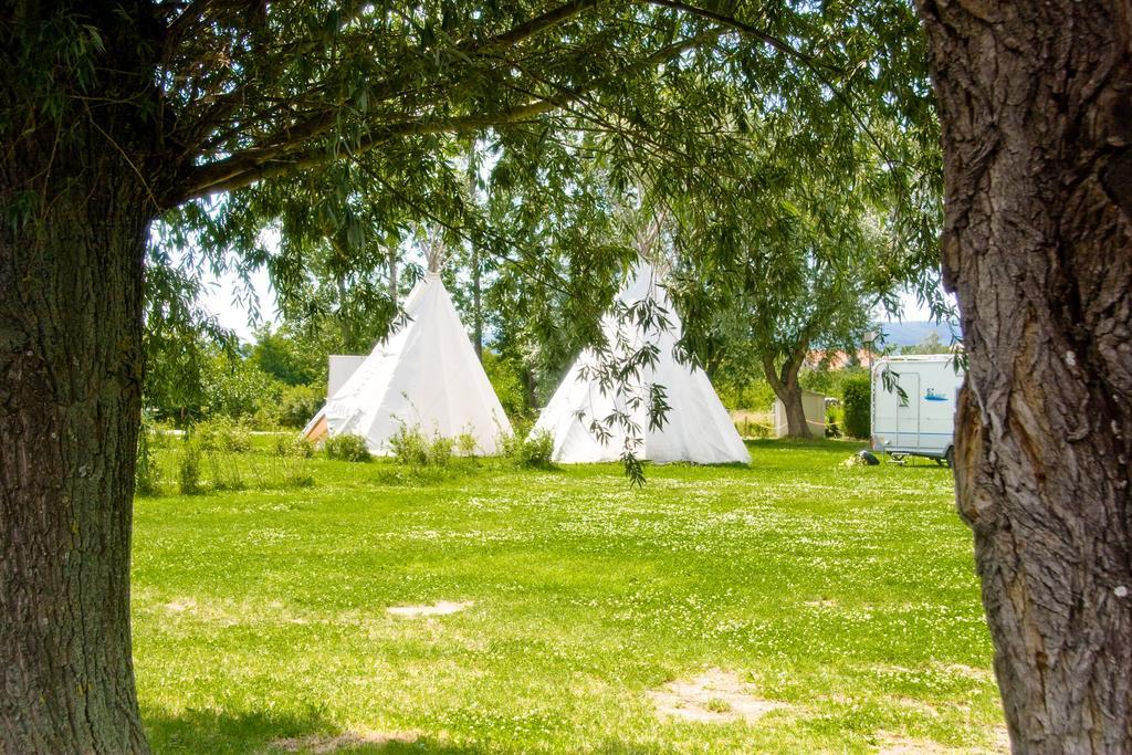 Storchencamp Gaestehaus Purbach Purbach am Neusiedlersee Exteriör bild