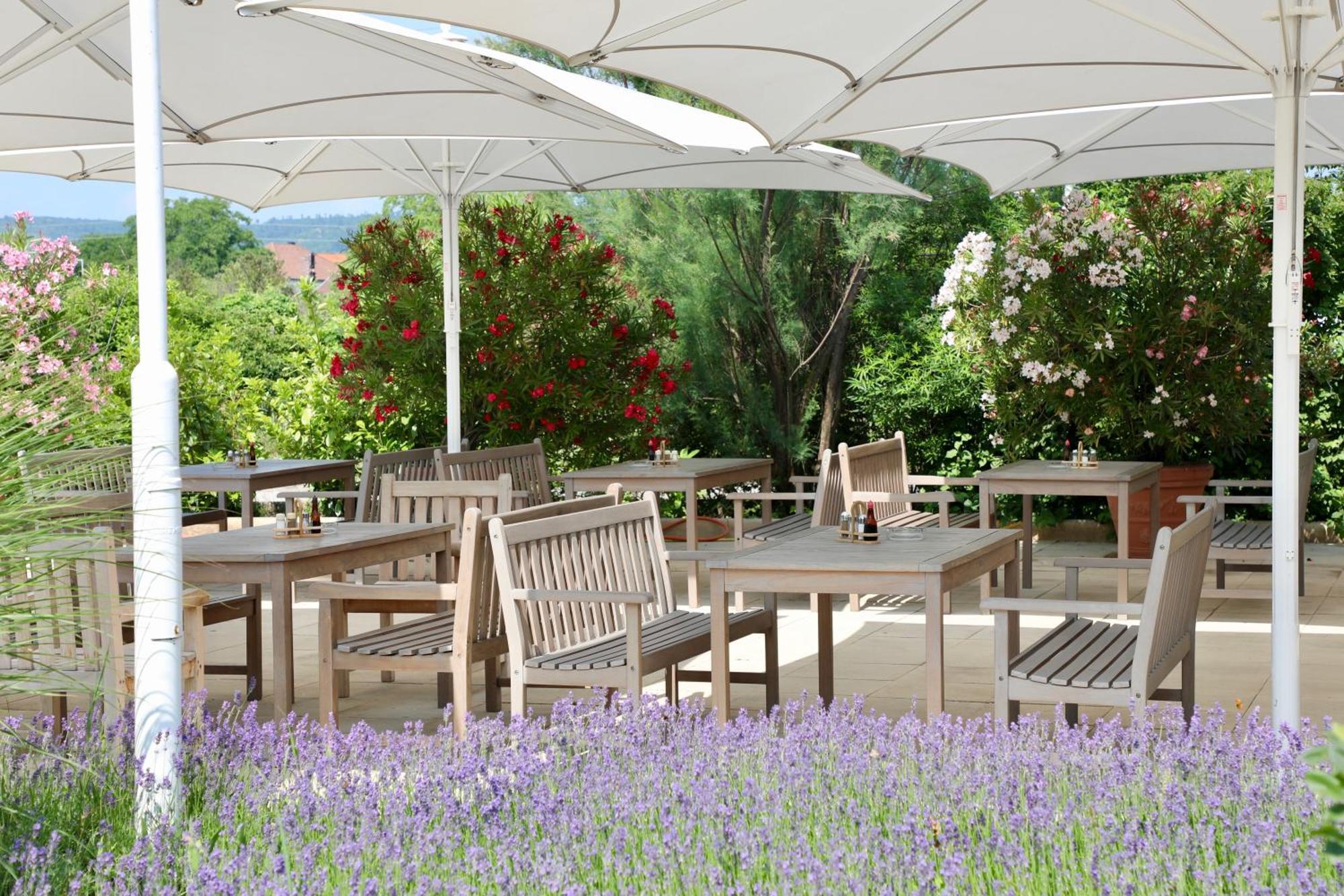 Storchencamp Gaestehaus Purbach Purbach am Neusiedlersee Exteriör bild