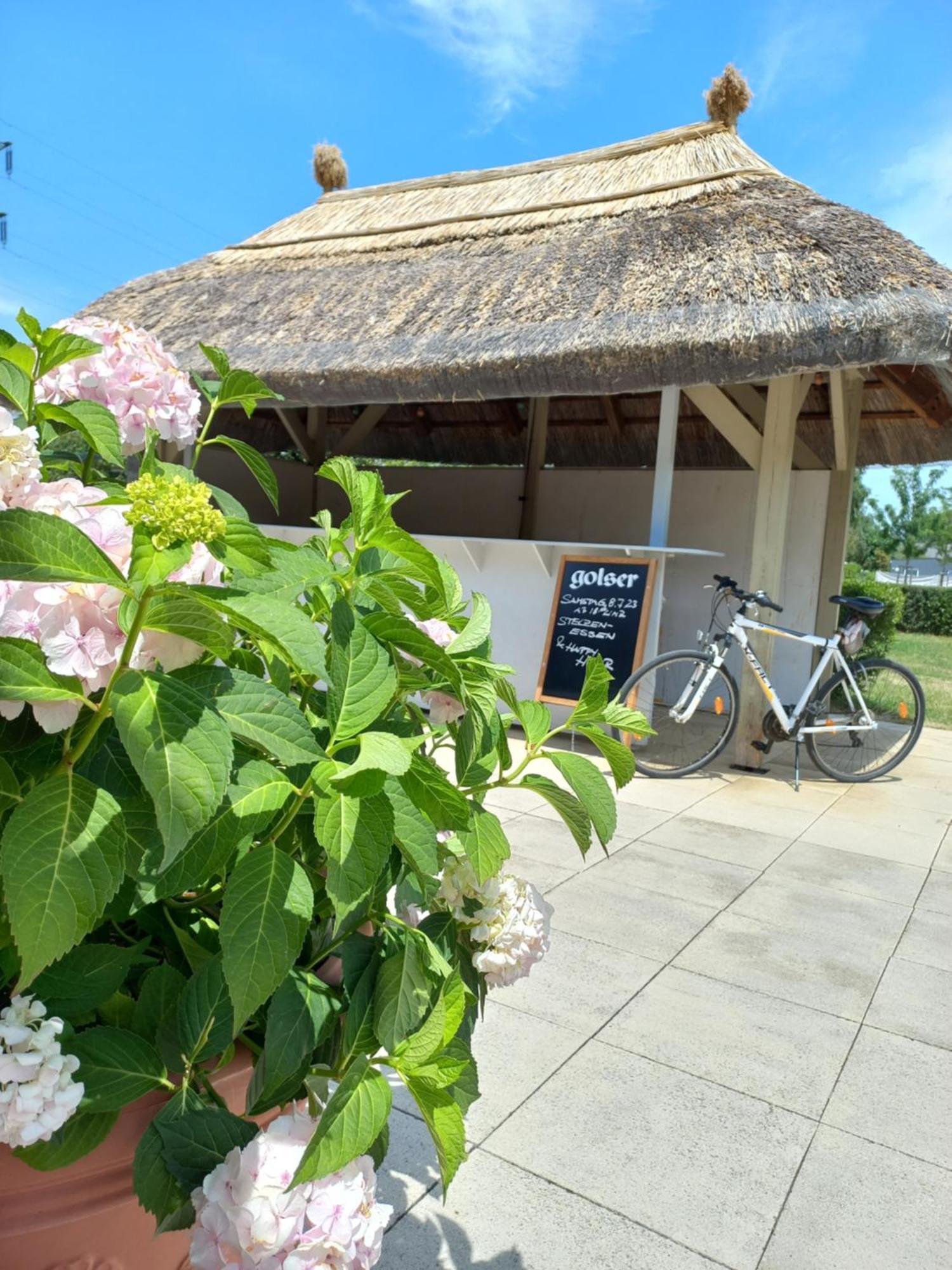 Storchencamp Gaestehaus Purbach Purbach am Neusiedlersee Exteriör bild