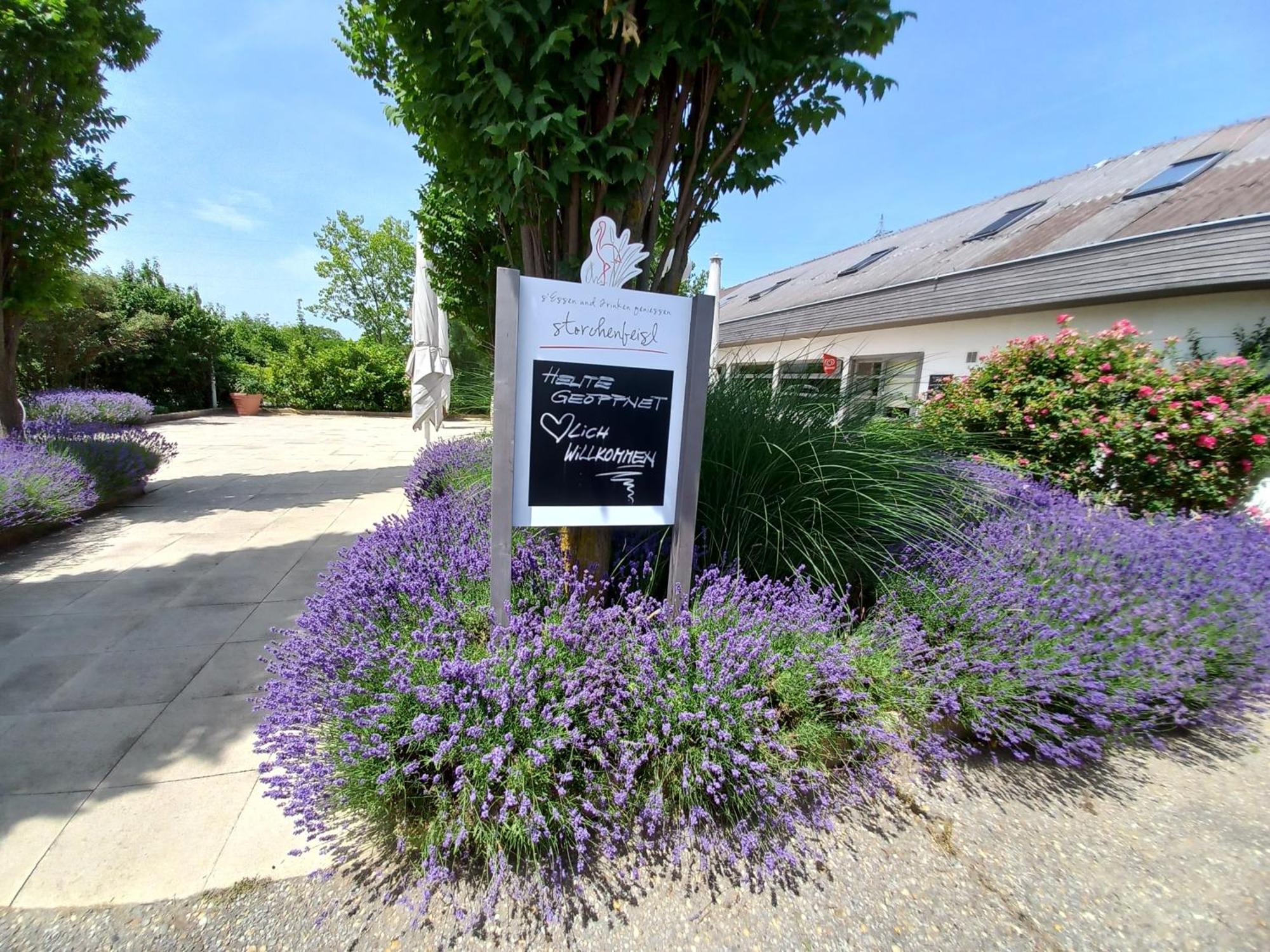Storchencamp Gaestehaus Purbach Purbach am Neusiedlersee Exteriör bild