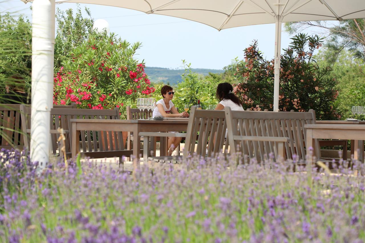 Storchencamp Gaestehaus Purbach Purbach am Neusiedlersee Exteriör bild